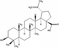 Betulinsäure = 3b-Hydroxy-lup 20(29)-en-28-säure